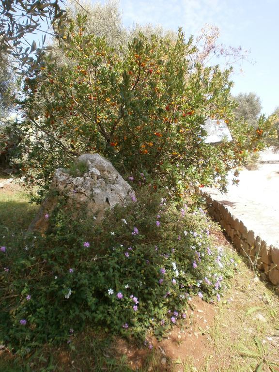 Trullo Villa Giuliana Con Giardino Posizione Panoramica Free Wifi Ostuni Kültér fotó