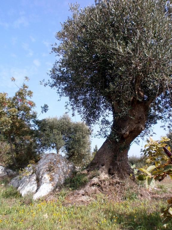 Trullo Villa Giuliana Con Giardino Posizione Panoramica Free Wifi Ostuni Kültér fotó