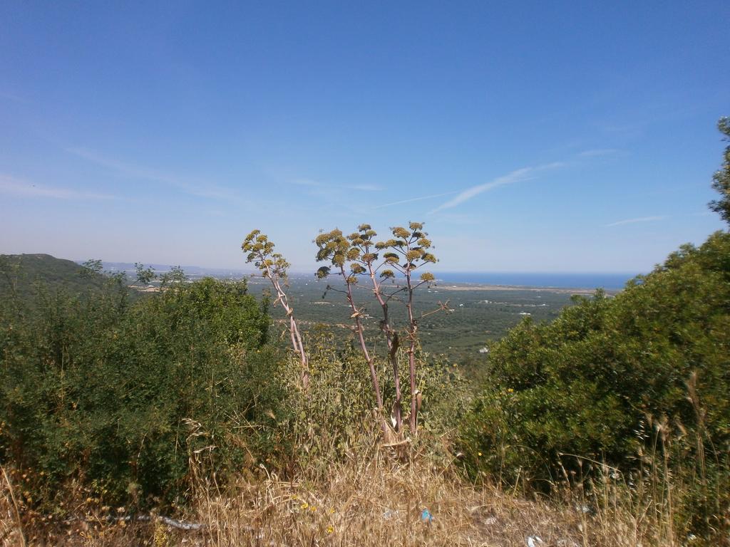 Trullo Villa Giuliana Con Giardino Posizione Panoramica Free Wifi Ostuni Szoba fotó