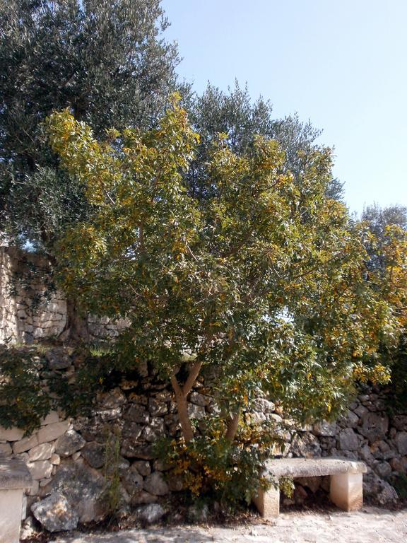 Trullo Villa Giuliana Con Giardino Posizione Panoramica Free Wifi Ostuni Szoba fotó